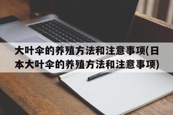 大叶伞的养殖方法和注意事项(日本大叶伞的养殖方法和注意事项)