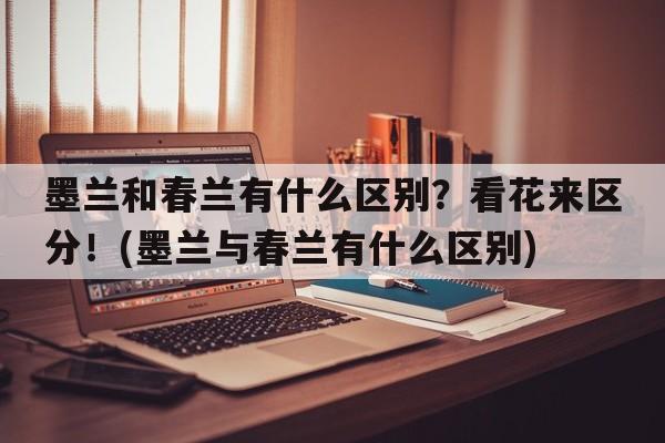 墨兰和春兰有什么区别？看花来区分！(墨兰与春兰有什么区别)