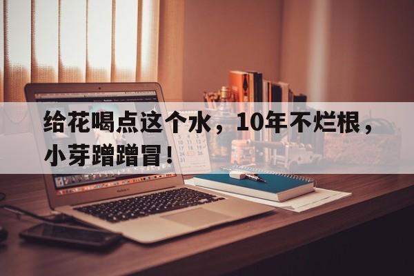 给花喝点这个水，10年不烂根，小芽蹭蹭冒！