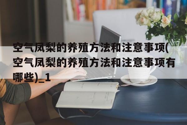 空气凤梨的养殖方法和注意事项(空气凤梨的养殖方法和注意事项有哪些)_1