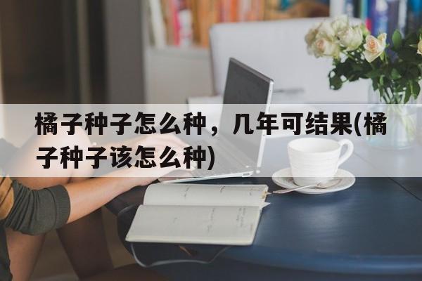 橘子种子怎么种，几年可结果(橘子种子该怎么种)