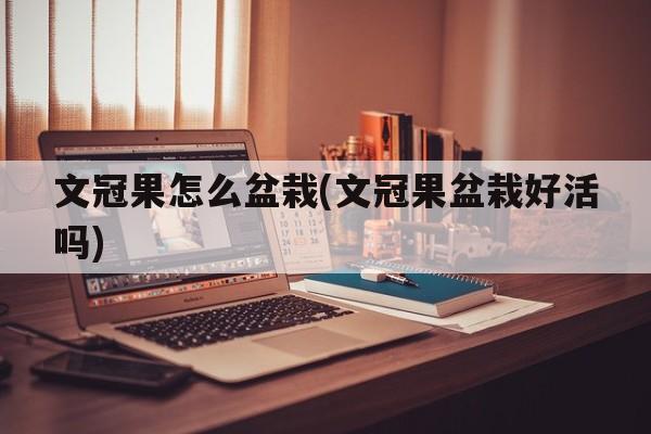 文冠果怎么盆栽(文冠果盆栽好活吗)