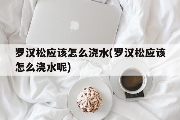 罗汉松应该怎么浇水(罗汉松应该怎么浇水呢)