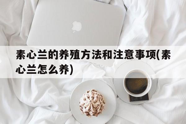 素心兰的养殖方法和注意事项(素心兰怎么养)