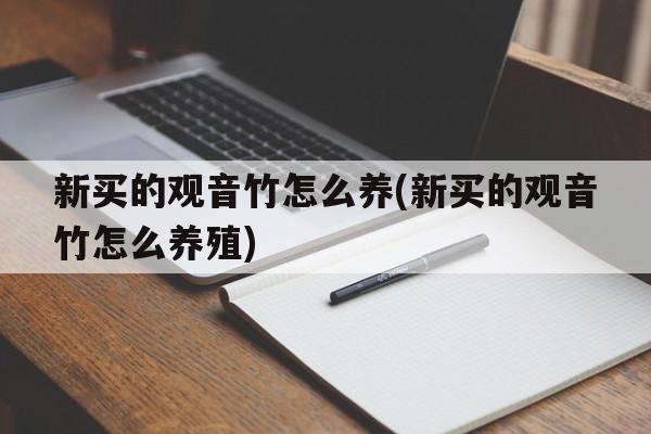 新买的观音竹怎么养(新买的观音竹怎么养殖)