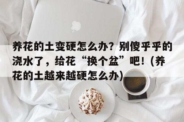 养花的土变硬怎么办？别傻乎乎的浇水了，给花“换个盆”吧！(养花的土越来越硬怎么办)