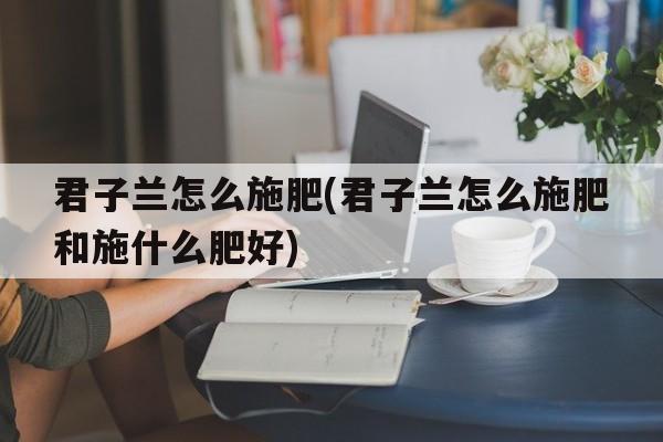 君子兰怎么施肥(君子兰怎么施肥和施什么肥好)