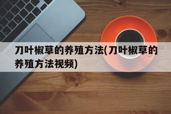 刀叶椒草的养殖方法(刀叶椒草的养殖方法视频)