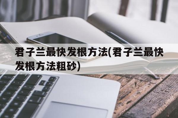 君子兰最快发根方法(君子兰最快发根方法粗砂)