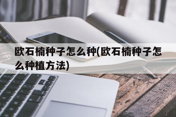 欧石楠种子怎么种(欧石楠种子怎么种植方法)