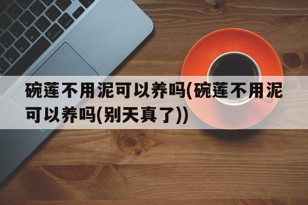 碗莲不用泥可以养吗(碗莲不用泥可以养吗(别天真了))