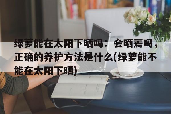 绿萝能在太阳下晒吗：会晒蔫吗，正确的养护方法是什么(绿萝能不能在太阳下晒)