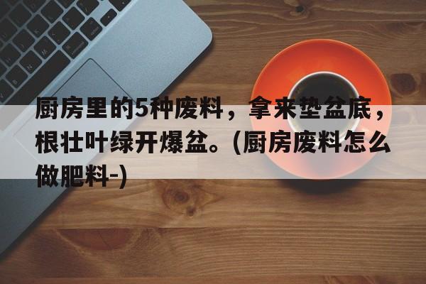 厨房里的5种废料，拿来垫盆底，根壮叶绿开爆盆。(厨房废料怎么做肥料-)