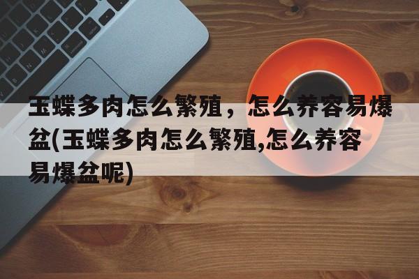 玉蝶多肉怎么繁殖，怎么养容易爆盆(玉蝶多肉怎么繁殖,怎么养容易爆盆呢)