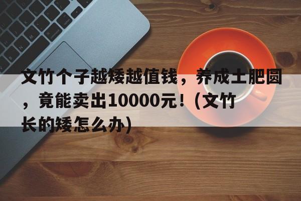 文竹个子越矮越值钱，养成土肥圆，竟能卖出10000元！(文竹长的矮怎么办)