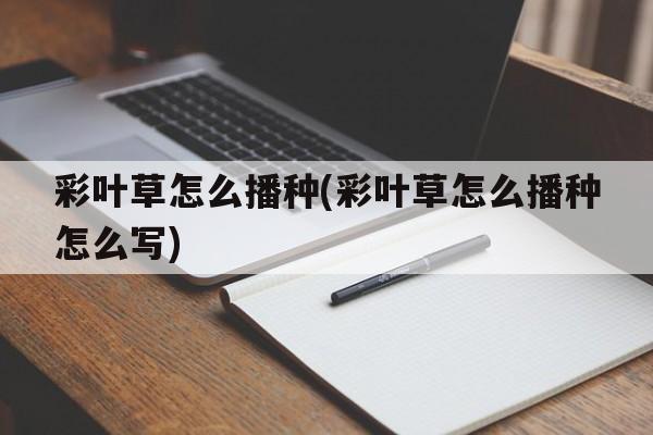 彩叶草怎么播种(彩叶草怎么播种怎么写)