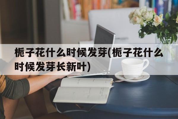 栀子花什么时候发芽(栀子花什么时候发芽长新叶)