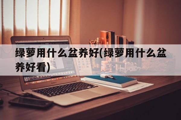 绿萝用什么盆养好(绿萝用什么盆养好看)