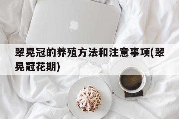 翠晃冠的养殖方法和注意事项(翠晃冠花期)