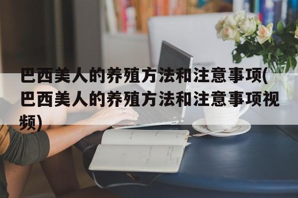 巴西美人的养殖方法和注意事项(巴西美人的养殖方法和注意事项视频)