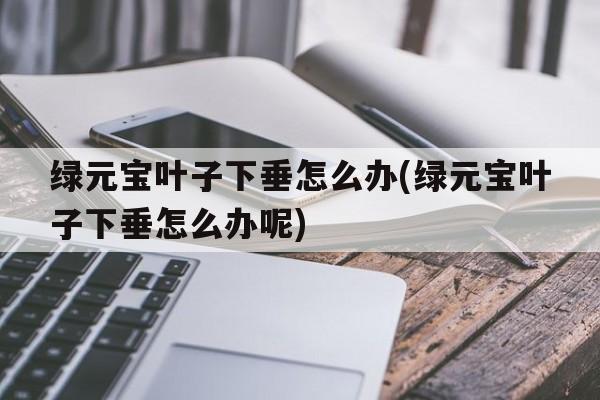 绿元宝叶子下垂怎么办(绿元宝叶子下垂怎么办呢)