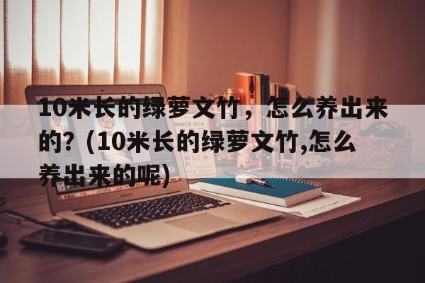 10米长的绿萝文竹，怎么养出来的？(10米长的绿萝文竹,怎么养出来的呢)