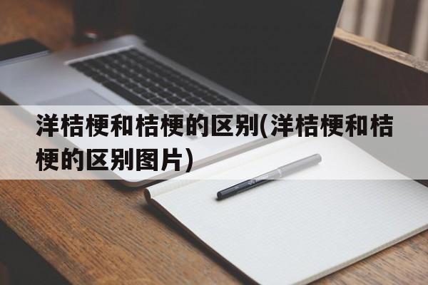 洋桔梗和桔梗的区别(洋桔梗和桔梗的区别图片)