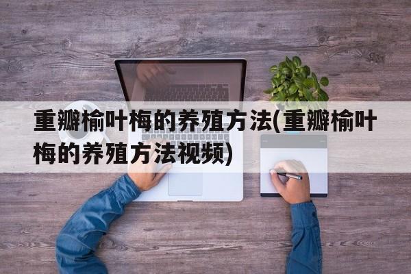 重瓣榆叶梅的养殖方法(重瓣榆叶梅的养殖方法视频)