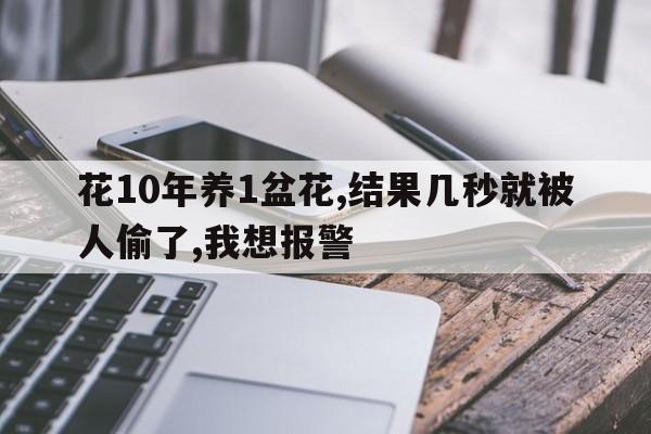 花10年养1盆花,结果几秒就被人偷了,我想报警