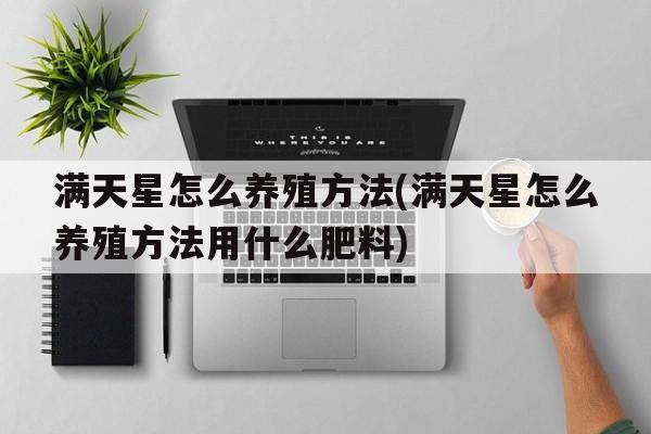 满天星怎么养殖方法(满天星怎么养殖方法用什么肥料)