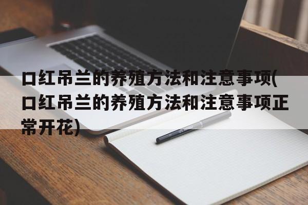 口红吊兰的养殖方法和注意事项(口红吊兰的养殖方法和注意事项正常开花)