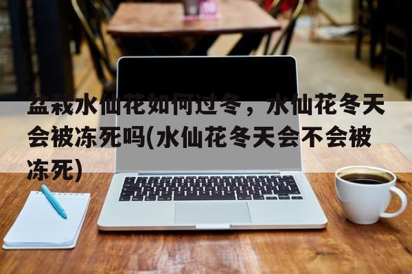 盆栽水仙花如何过冬，水仙花冬天会被冻死吗(水仙花冬天会不会被冻死)