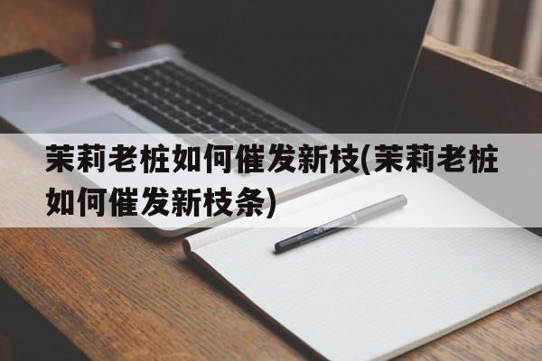 茉莉老桩如何催发新枝(茉莉老桩如何催发新枝条)