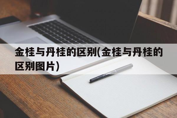 金桂与丹桂的区别(金桂与丹桂的区别图片)