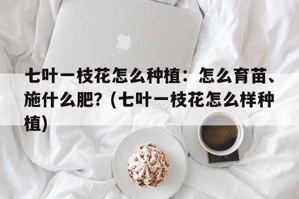 七叶一枝花怎么种植：怎么育苗、施什么肥？(七叶一枝花怎么样种植)