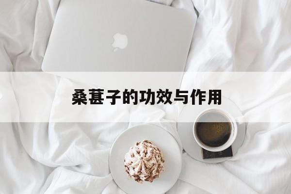 桑葚子的功效与作用