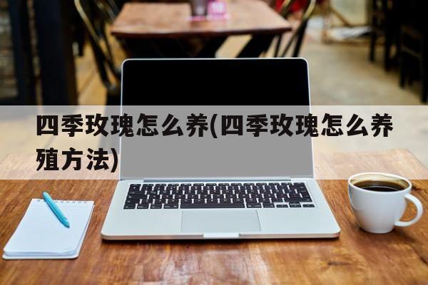 四季玫瑰怎么养(四季玫瑰怎么养殖方法)