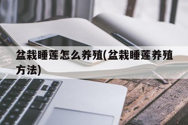 盆栽睡莲怎么养殖(盆栽睡莲养殖方法)