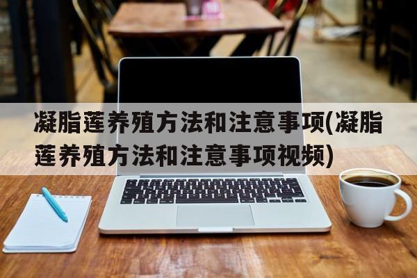 凝脂莲养殖方法和注意事项(凝脂莲养殖方法和注意事项视频)