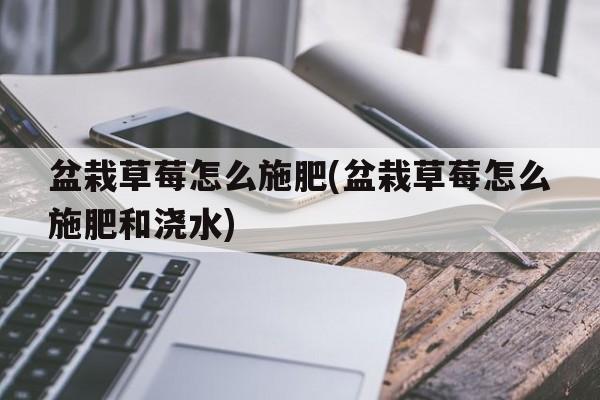 盆栽草莓怎么施肥(盆栽草莓怎么施肥和浇水)