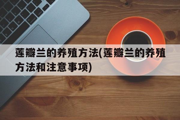 莲瓣兰的养殖方法(莲瓣兰的养殖方法和注意事项)