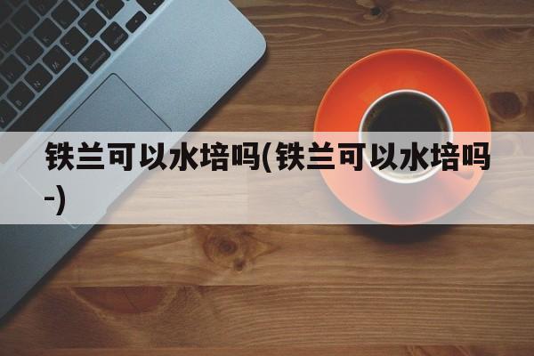 铁兰可以水培吗(铁兰可以水培吗-)