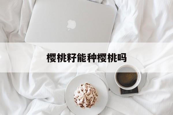 樱桃籽能种樱桃吗