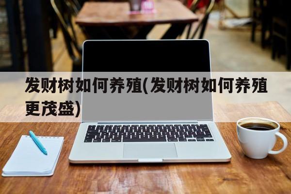 发财树如何养殖(发财树如何养殖更茂盛)