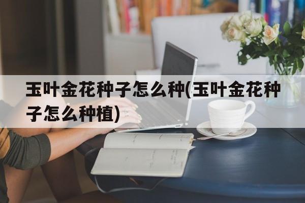 玉叶金花种子怎么种(玉叶金花种子怎么种植)