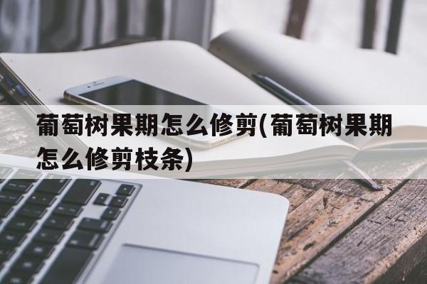 葡萄树果期怎么修剪(葡萄树果期怎么修剪枝条)