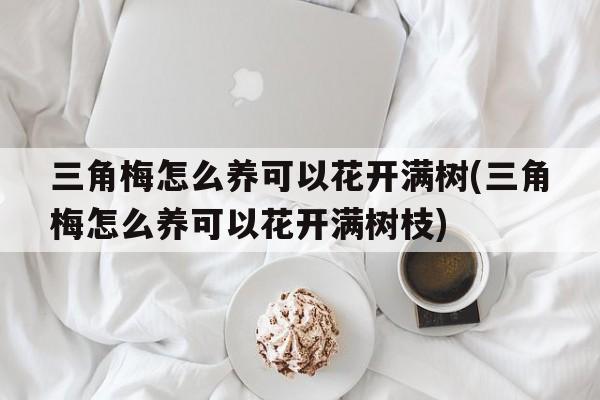 三角梅怎么养可以花开满树(三角梅怎么养可以花开满树枝)