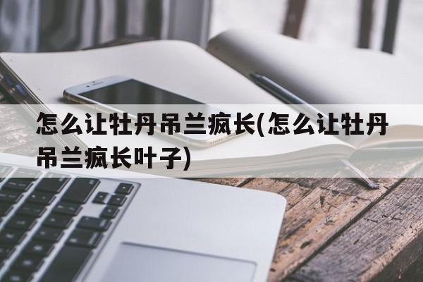 怎么让牡丹吊兰疯长(怎么让牡丹吊兰疯长叶子)