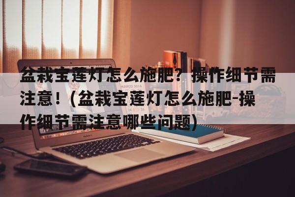 盆栽宝莲灯怎么施肥？操作细节需注意！(盆栽宝莲灯怎么施肥-操作细节需注意哪些问题)