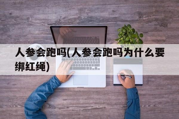 人参会跑吗(人参会跑吗为什么要绑红绳)